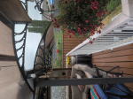 Good quality 5