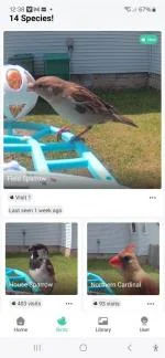Bird feeder with camera 5