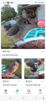 Bird feeder with camera 5