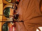 Ms 5