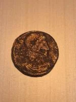 Engineering Professional / Ancient Coin Collector 4