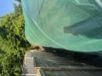 The green house its very strong  5