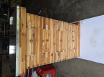 My first hive 5