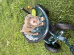 Garden cart 5