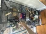 69” Metal Small Animal Cage 4-Tier 3 ramps 5