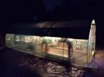 Maybe a Greenhouse Someday 5