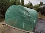 Maybe a Greenhouse Someday 5