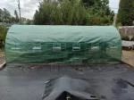 Maybe a Greenhouse Someday 5