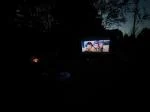 Projector screen with frame  5