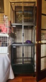 Affordable Small Animal Cage 4