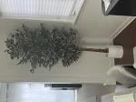 Beautiful artificial Tree 5