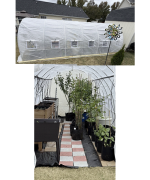 20 x 10 x 7 Walk-In Tunnel Greenhouse 5