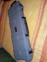 Gun hardcase 5