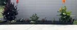 Sturdy Edging 5
