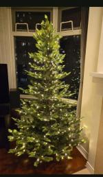 Nice Tree 4