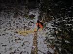 Awesome and light weight little animal!  5