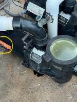 Replacement Pool Pump Motor 5