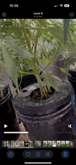 Cultivator 5
