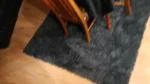 Contractor  4