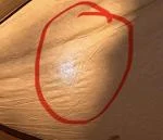 Duck canvas  1