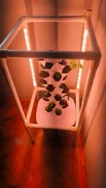 VEVOR Hydroponic Growing System with Grow Light, 30 Pods Vertical 6 Tiers 5