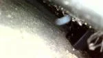 Endoscope articulé 5