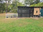Coop protection  5