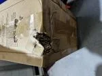 AZIENDA PESSIMA ! 1