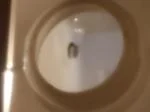 Bad parts  3