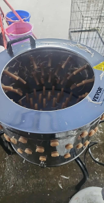 Chicken plucker 5