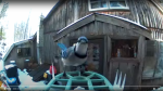 Affordable bird identification and home security 5