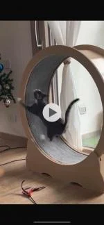Qualità ottima, prezzo vantaggioso rispetto ai loro concorrenti 5