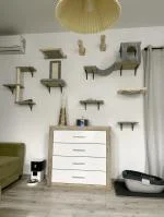 Good set for cats 5
