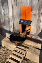 Chicken owner 5