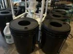 Awesome and easy hydroponics 5