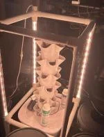 30 plant hydroponic tower is great 5