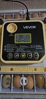 48 egg Vevor Incubator  4