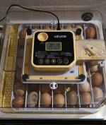 48 egg Vevor Incubator  4