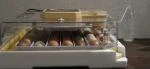 48 egg Vevor Incubator  4