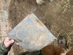 Hog Feeder 2