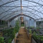 GREENHOUSE FAMILY 5