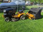 Not so good on my lawn 3