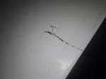 Damaged table 3