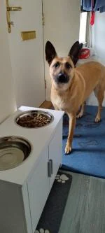 Fantastic Feeding Station — Willow Loves It! 5