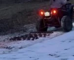 Bonne herse pour pâtures – attention à la hauteur du quad 5