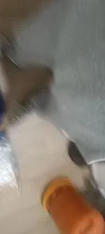 Me llegó el paquete totalmente reventado y con todo al aire y manchado  1