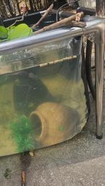 126.8 gal pond with view panel 4