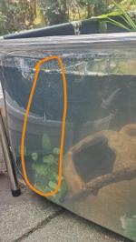 126.8 gal pond with view panel 4