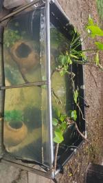 126.8 gal pond with view panel 4