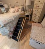 Great Pet Ramp 5